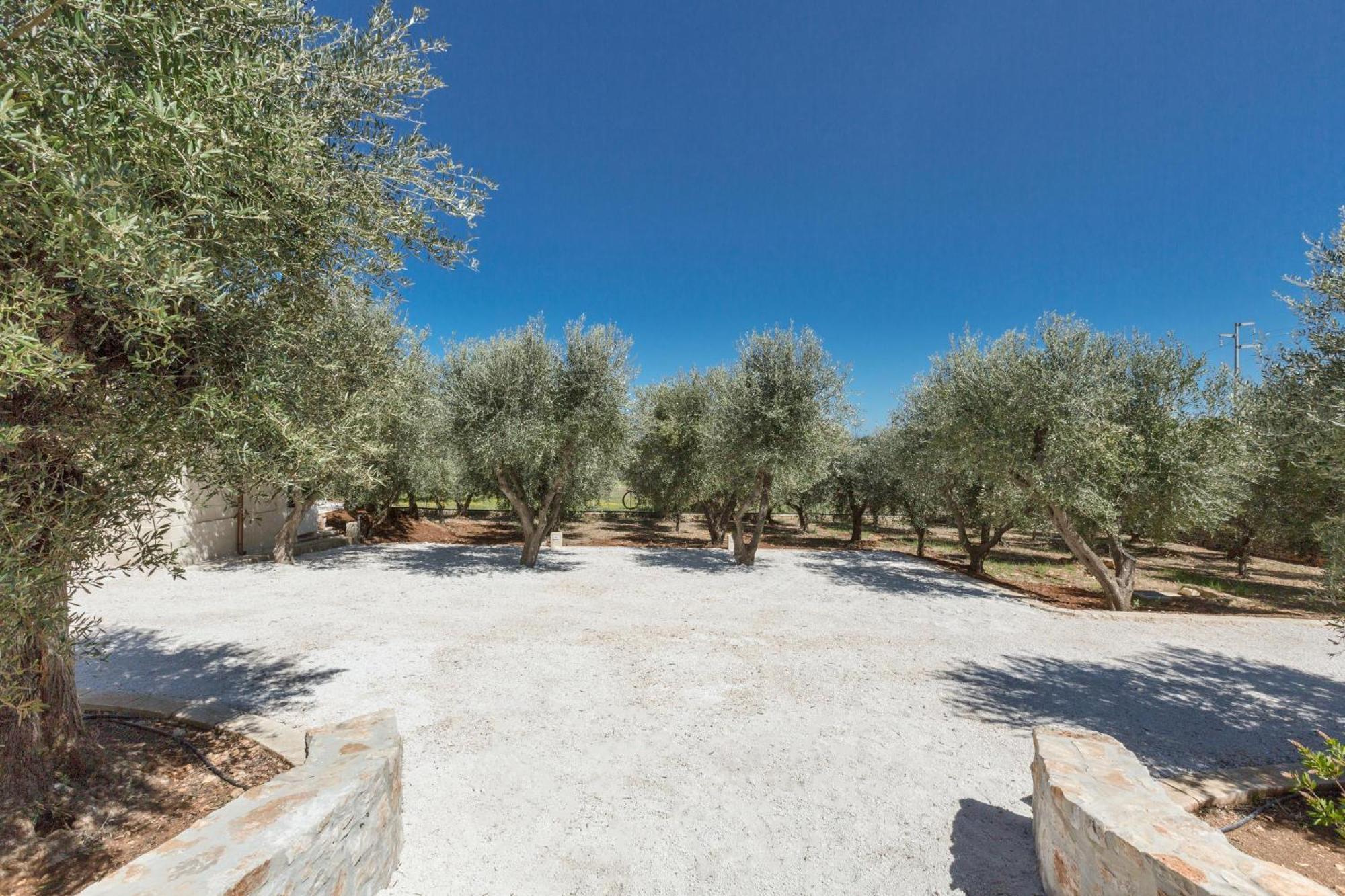 הוילה סלבה די פאסנו Trulli Ulivo Di Puglia By Barbarhouse מראה חיצוני תמונה